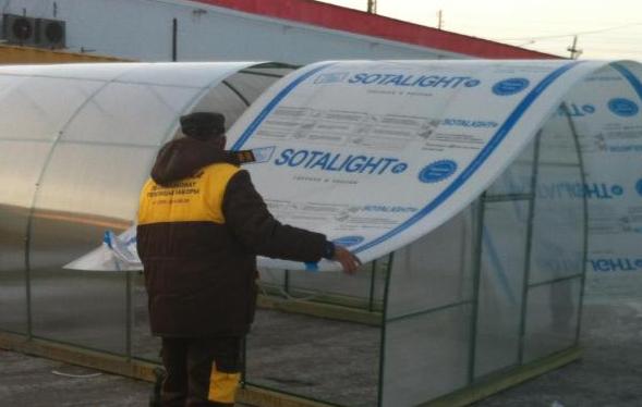 Как выбрать поликарбонат для теплицы